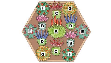 Hummingbird Garden Design