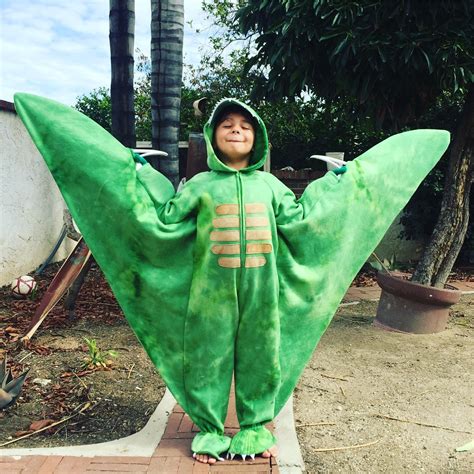 Flying dinosaur, pterodactyl costume. When your kid asks to be a ...