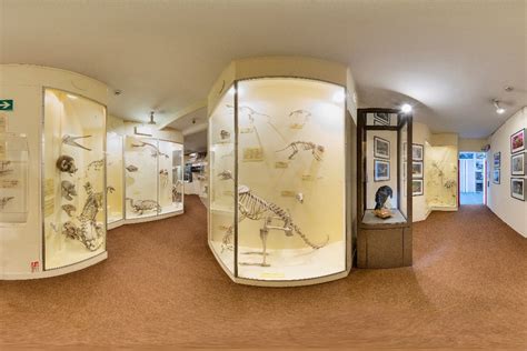 Booth Museum of Natural History returns | BN1 Magazine