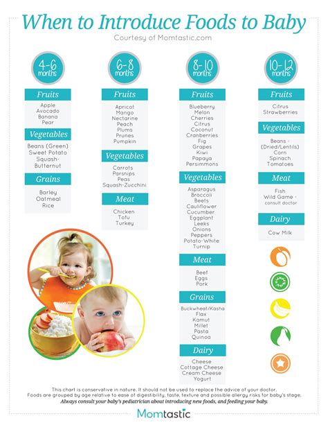 Solid Food Chart for Babies Aged 4 months through 12 months - Find age ...