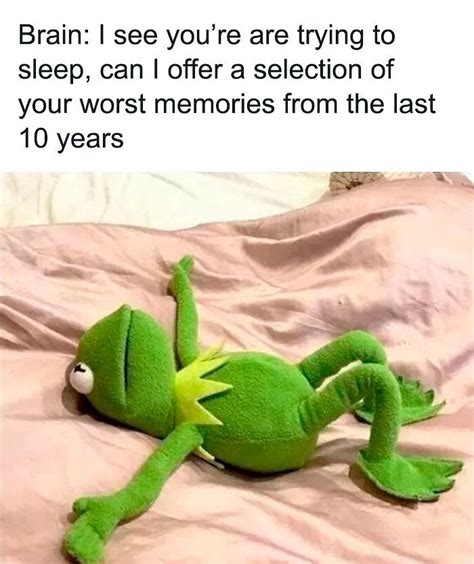 55 Kermit The Frog Memes That Might Make Your Day | Bored Panda