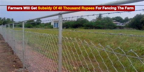 Farmers Will Get Subsidy Of 40 Thousand Rupees For Fencing The Farm