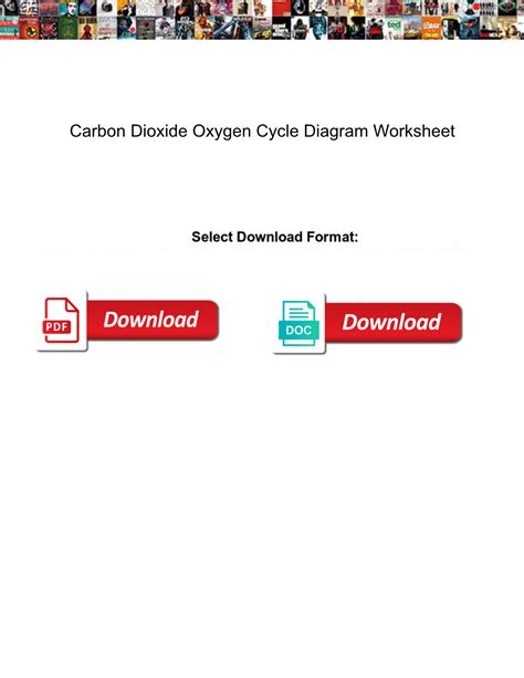 Carbon Dioxide Oxygen Cycle Diagram Worksheet - DocsLib