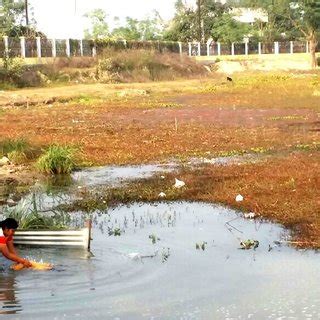 The Motijheel lake water is used for regular household chores ...