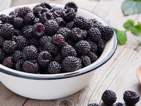 Mulberry Blackberry Fruit Images - Fresh Ripe Black Mulberry Berry ...