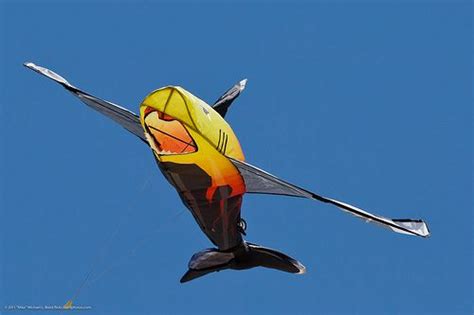 Unusual Kite Shapes - Downright Funny In Some Cases!