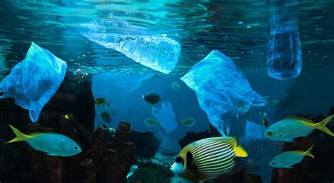 Reduce marine plastic litter now to turn challenges into opportunities ...