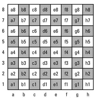 Chess Board Dimensions | Basic And Guidelines - Kaabil Kids