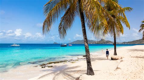 The Best Beaches in Saint Vincent and the Grenadines