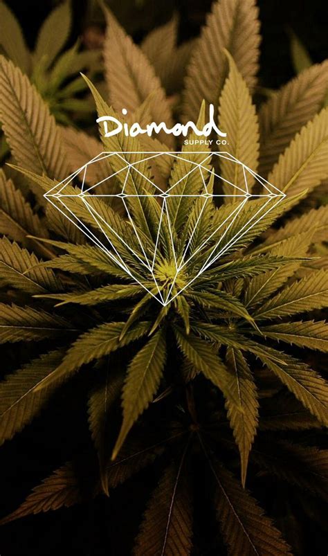 🔥 [50+] Stoner Wallpapers iPhone | WallpaperSafari