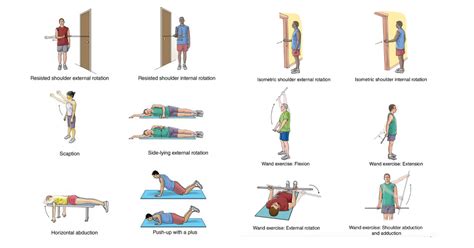 Isometric Shoulder Exercises Handout