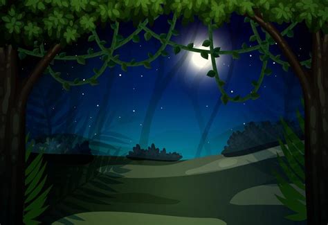 Dark night at forest 293443 Vector Art at Vecteezy