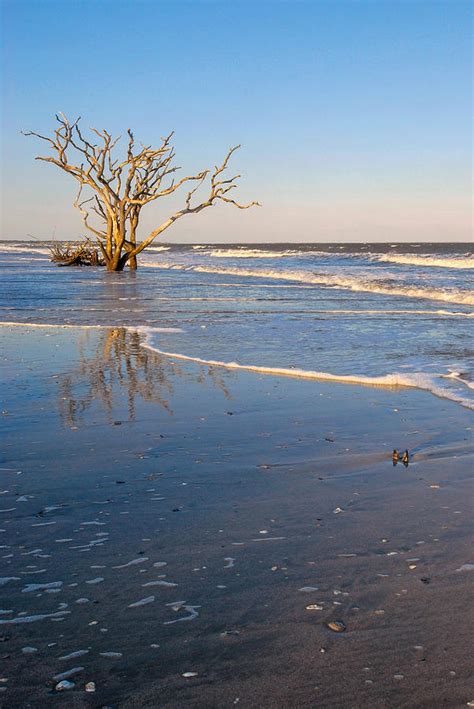 Botany Bay Sunrise on Edisto Island SC Photograph by Willie Harper ...