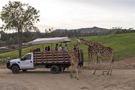 San Diego Zoo Safari Park | Buena Park, CA