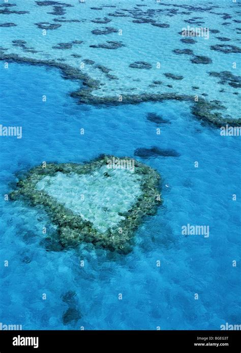 Heart Reef aerial view Hardy Reef Great Barrier Reef Queensland ...