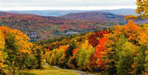 Best places to see beautiful fall foliage in Quebec over the long ...