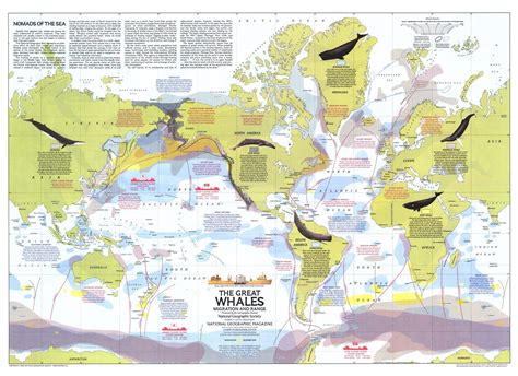 Great Whales, Migration And Range Map | Maps.com.com