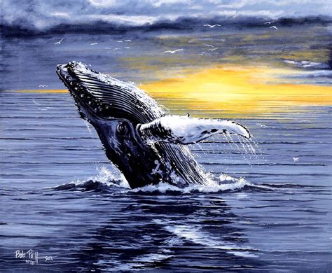 Humpback Whale Breaching by Bob Patterson