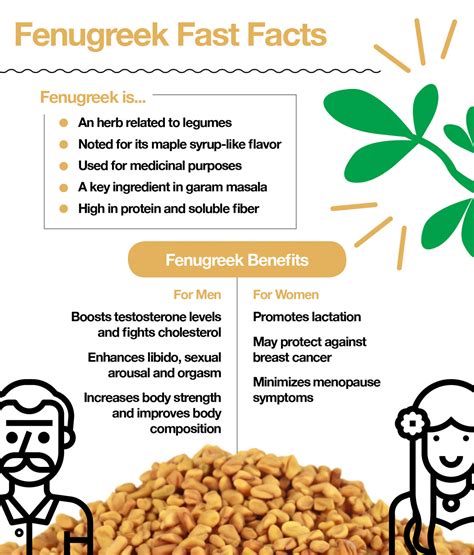 Fenugreek Water For Pcos : Fenugreek is an herb with many potential ...