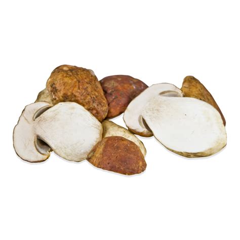 Fresh Wild Porcini Mushrooms | Marx Foods