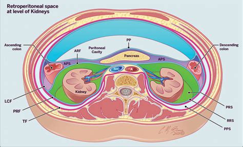 Journal of Clinical Imaging Science - Browse Articles