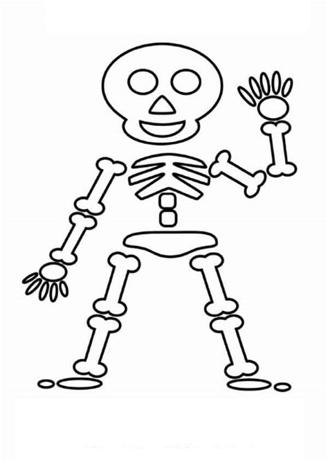 Free Skeleton Picture For Kids, Download Free Skeleton Picture For Kids ...