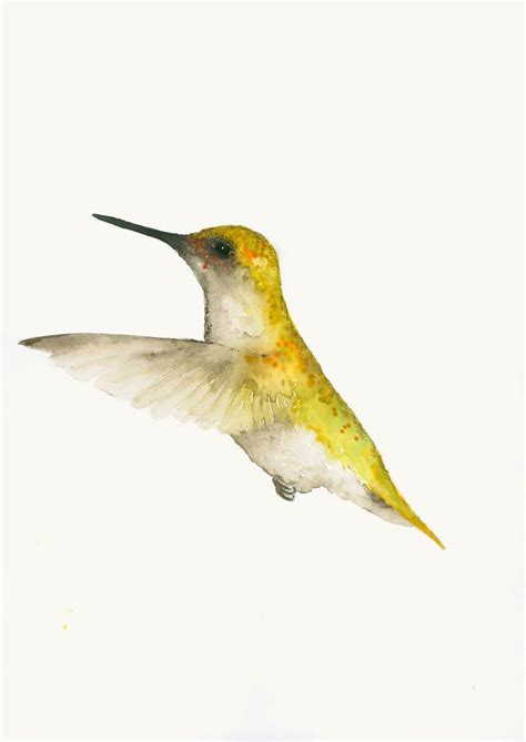 Hummingbird Art Fine Art Print from Original Watercolor | Etsy