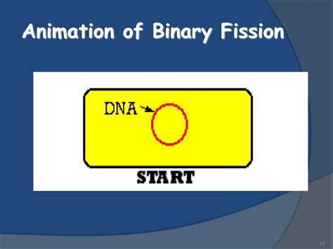 Cellular Division. - ppt download