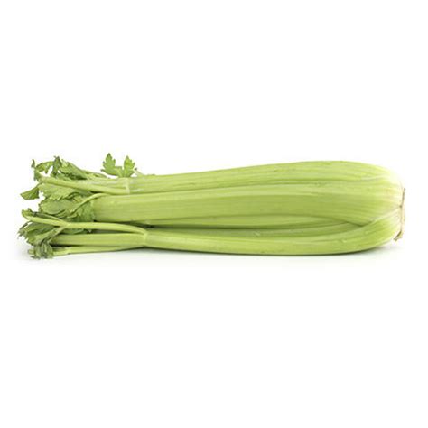 Celery Stalks, MFC | MARKON