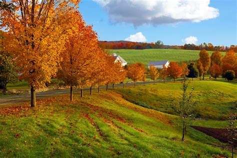 Vermont Fall Foliage Wallpapers - Top Free Vermont Fall Foliage ...