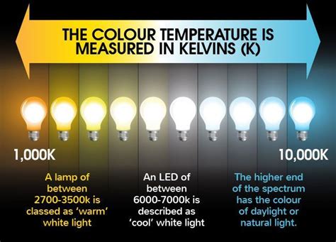 Led Bulb Cool Daylight Vs Warm White - absolutenesshome