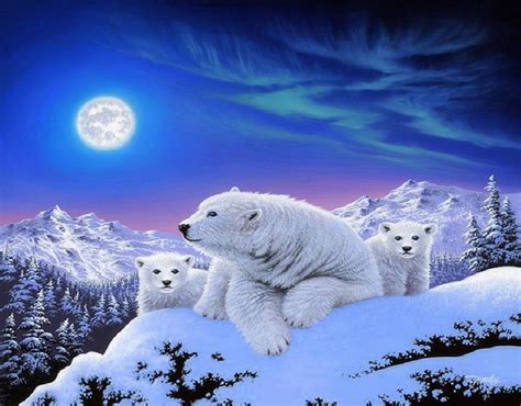 Download Snow Moon Winter Mountain Cub Animal Polar Bear HD Wallpaper