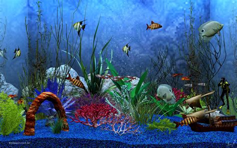 3D Aquarium Wallpaper (52+ images)