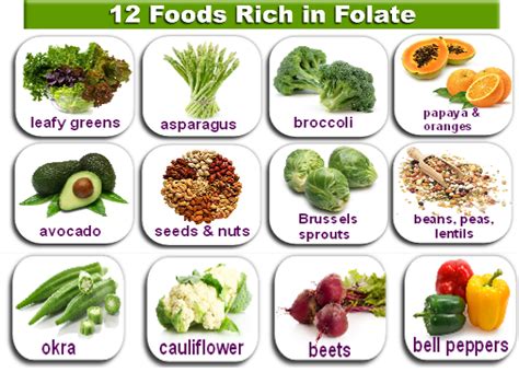 Folic Acid During Pregnancy - Top Folate Foods for Pregnancy - Test Blog