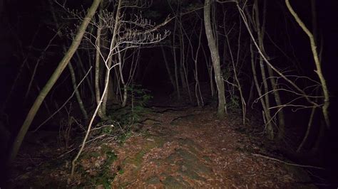 Japan - Walking At Night In Aokigahara Forest (no Pranks, Not Scary ...