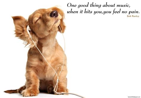 Dog Quotes Wallpapers - Wallpaper Cave