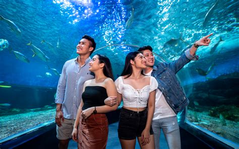 First Visit | Manila Ocean Park