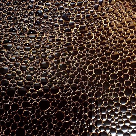 Do You Have Trypophobia? Take This Quiz to Find Out