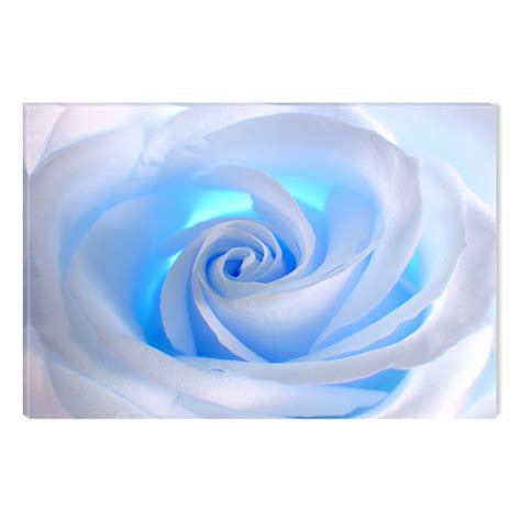 Startonight Canvas Wall Art White Rose Abstract Flower, Dual View ...