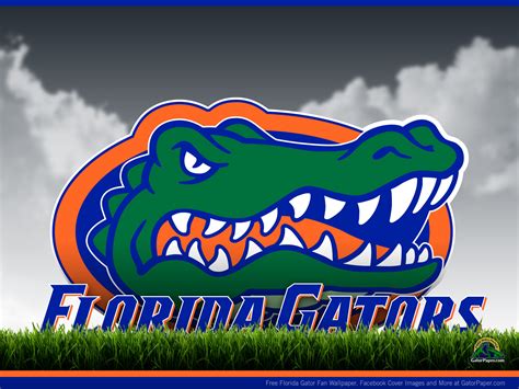 🔥 [50+] Florida Gator Screensavers and Wallpapers | WallpaperSafari