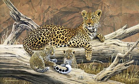 Wildlife Paintings | Johan Hoekstra Wildlife Art