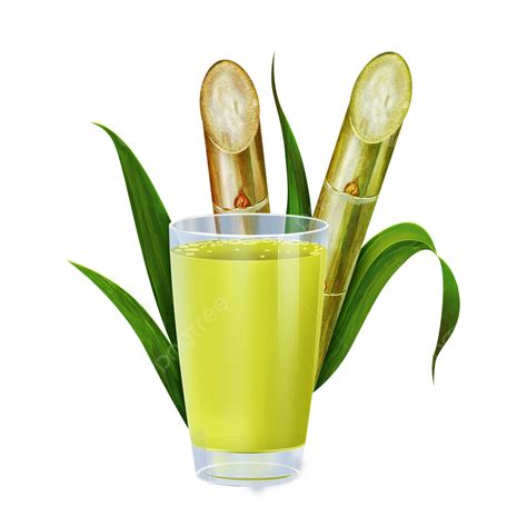 Canes Food, Nature Symbols, Sugarcane Juice, Sugar Cane, Background For ...