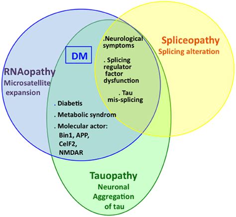 Tauopathies