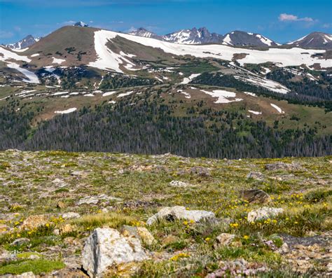 Trail Ridge Road, Stunning! - Crazy About Colorado