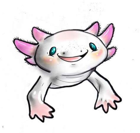 axolotl | Cute animal drawings kawaii, Cute animal drawings, Axolotl