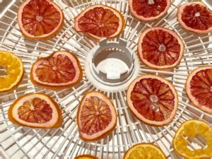 Dehydrated Oranges - Dehydrator or Oven - EmilyFabulous