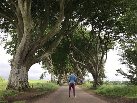 The Dark Hedges (Game of Thrones); How to Visit them in Ireland in 2021!