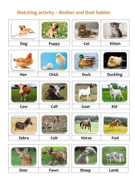 "Where Do Animals Live?" Printable Matching Game. TeachersMag.com ...