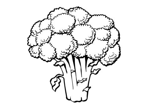 Download High Quality broccoli clipart drawing Transparent PNG Images ...