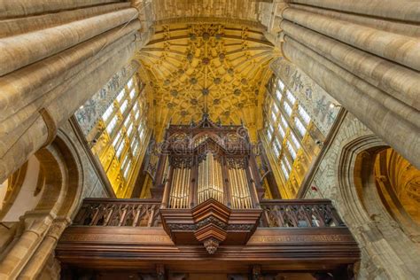 Organ and Vaulted Ceiling in the North Transept Inside Sherborne Abbey ...